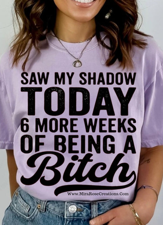 Saw My Shadow Today 6 More Weeks Of Being A Bitch Tee